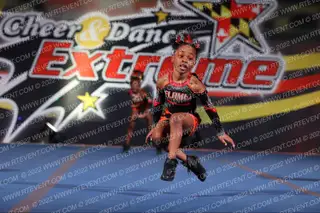 Flamez Elite Inc. FireFlies