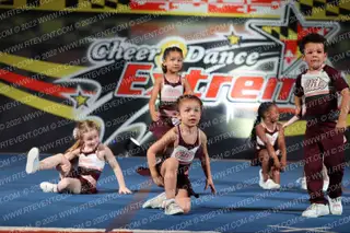 Garden State Elite Cheer Daisies