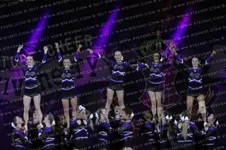 Carnegie Aviators Purple