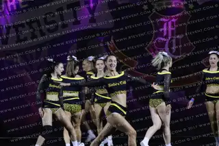 Sheffield Sabrecats Stunt Gold