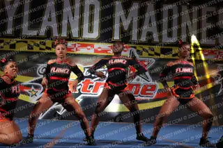 Flamez Elite Inc. Wildfire