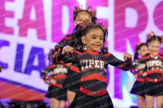 Stars Vipers San Antonio Fab Fangs