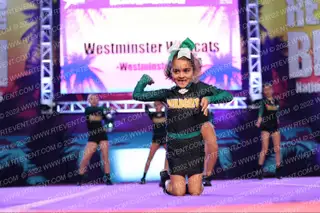 Westminster Wildcats 12Y