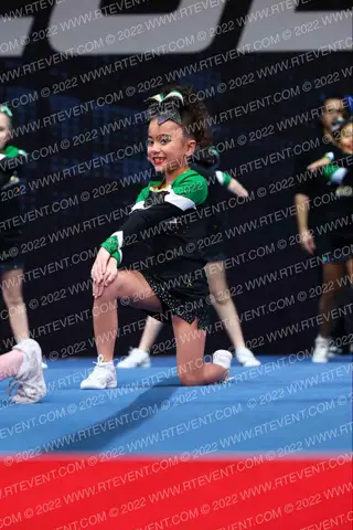 BRICK CHEER D8