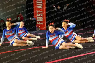 USA Wildcats Krazy Kitties