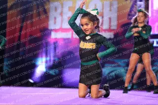Westminster Wildcats 12Y
