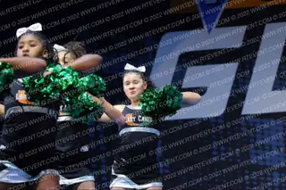 WAYNE WILDCATS