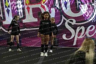 Tycoons Allstars Pegasus