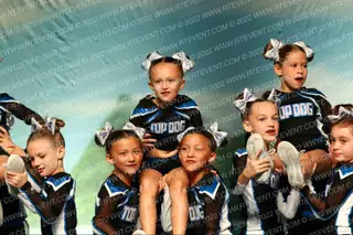 Florida Top Dog- Lakewood Ranch Mini Gold