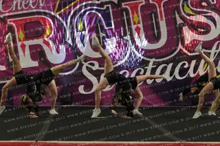 NRG Extreme Cheerleaders Honey Bees