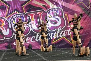 Sheffield Sabrecats Stunt Silver
