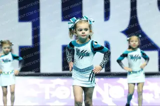Top Notch All Stars Kit-Cats