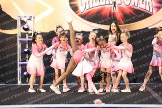 Dream Xtreme Butterflies