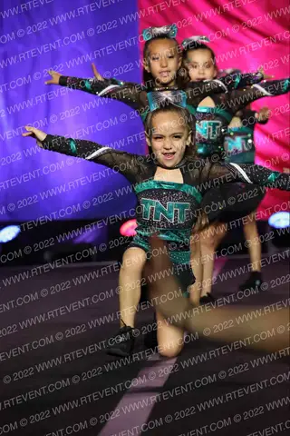Top Notch Tumble Flamingos