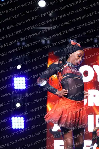 Royalty Brand Athletics Elegance