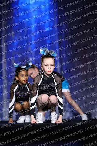 Showcase Spirit Pup Sharks