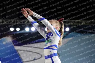 The Stingray All Stars Berry