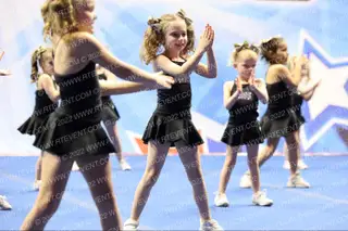 Winfield Cavaliers Tiny X