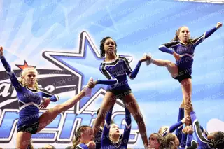 Stembridge Colts Untamed Royalty