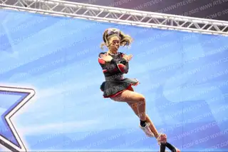 Phoenix Elite Smoke