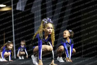 Pro Cheer Lions Mini
