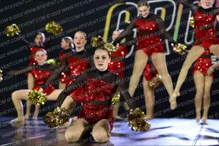 Ultimate Dance & Cheer Junior Large Pom