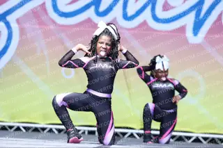 JMA Cheer Mini Magnolias