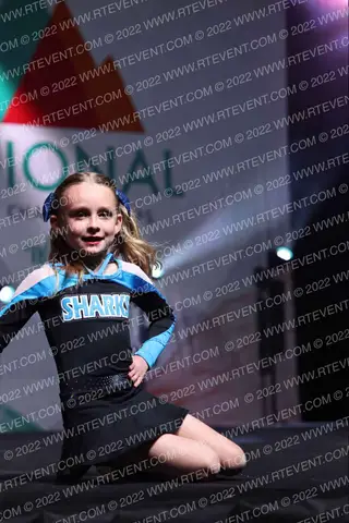 TSA All-Stars Lemon Sharks