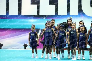 Epic Cheer Busy Bees