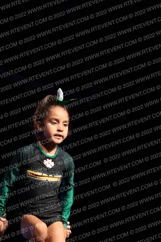 Westminster Youth Wildcats