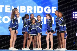 Stembridge Colts Rein