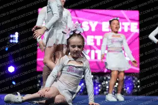 Fantasy Elite Athletics Pink Kitties