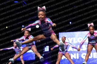 Taylor Made Allstars Mini Queens