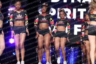 Dynasty Spirit Elite MD Force