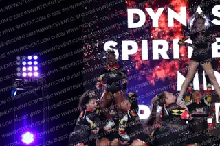 Dynasty Spirit Elite MD Spotlight