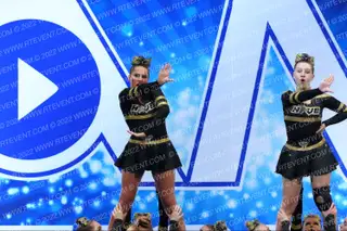HIVE BLACK OUT