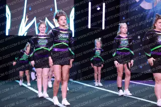 Flip & Twist Viper's