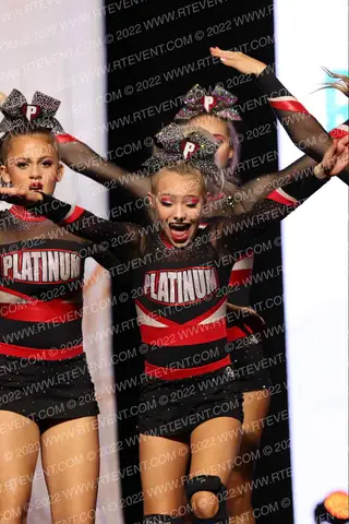 Platinum Cheer Company Icons