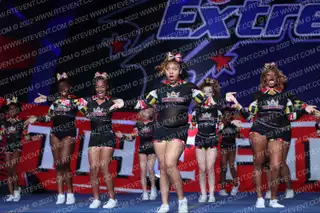 Dynasty Spirit Elite MD Spotlight