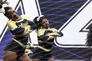 CLAWS OUT ALLSTARS SASSY CATS