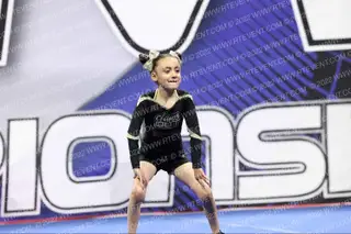 CLAWS OUT ALLSTARS TINY CATS