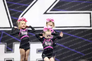 SCT PINK REIGN