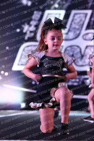 Cheer Intensity Elephants