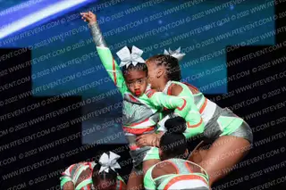Envy Elite Electric