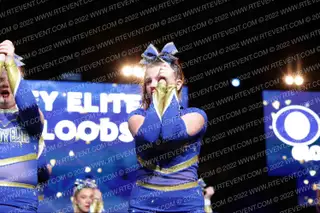 Royalty Elite Blue Bloods