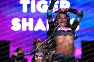 Savannah Sharks Tiger Sharks