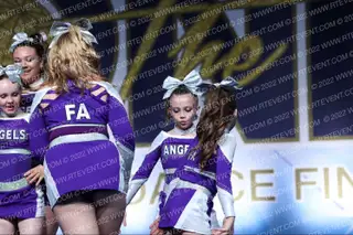 Flying Angels Allstars Purple Dynamite