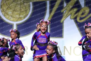 The Cheer Institute Sire