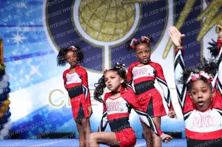The Cheer Institute Stallions