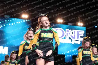 YAA The Swarm